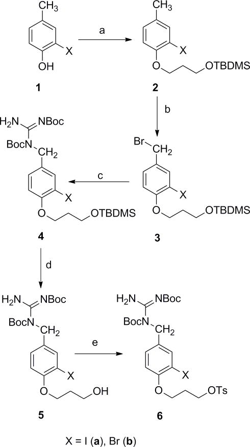 Scheme 1