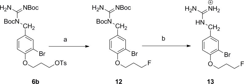 Scheme 3