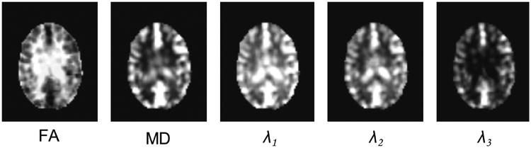 Fig. 3