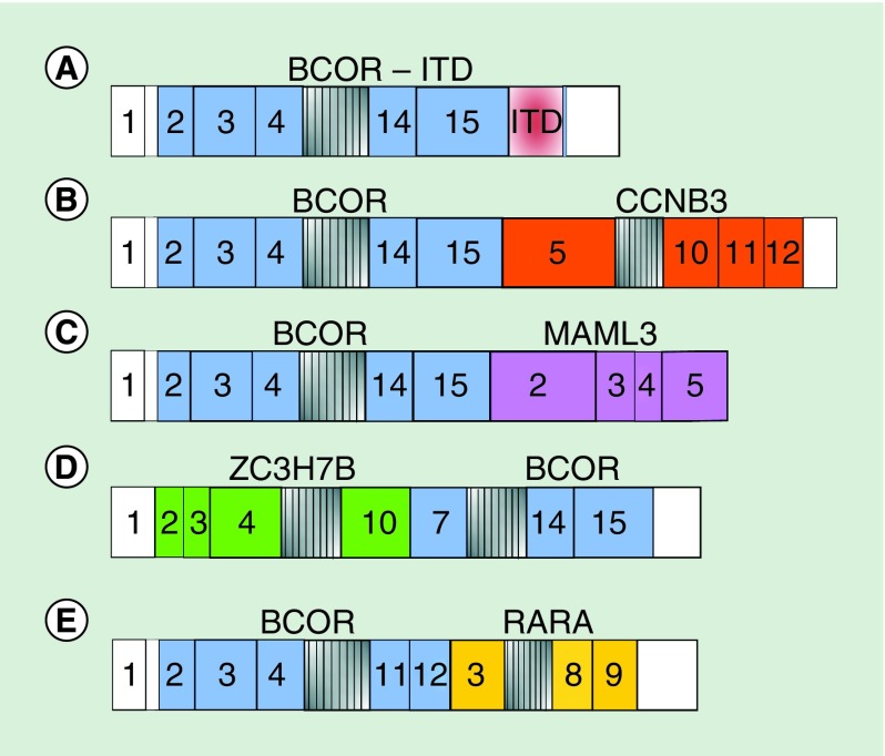 Figure 3. 