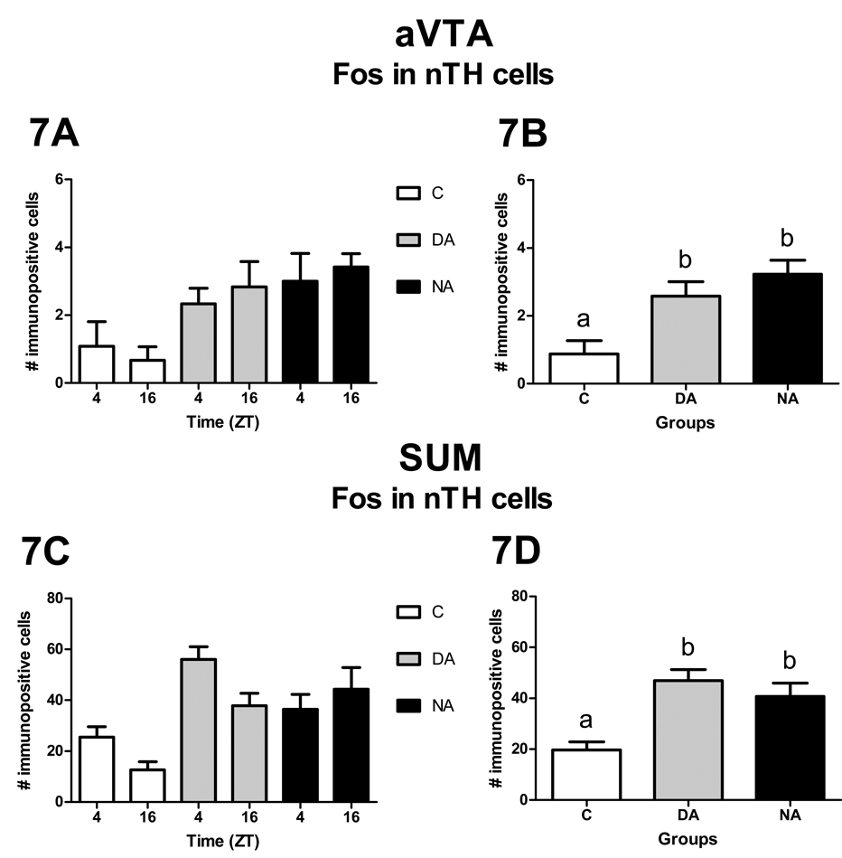 Figure 7