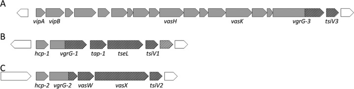 FIG 1 