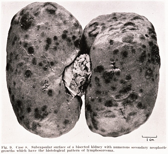 Fig. 9. Case 8.