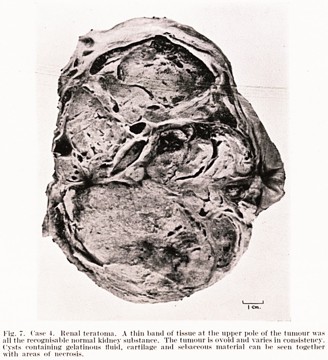 Fig. 7. Case 4.