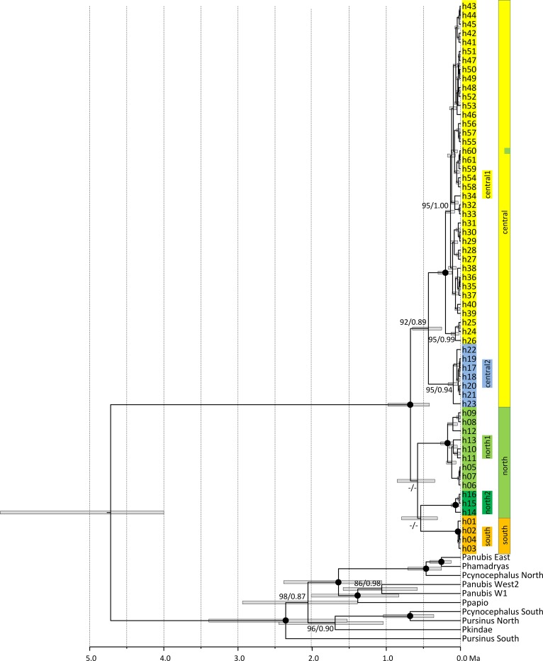 Fig 2