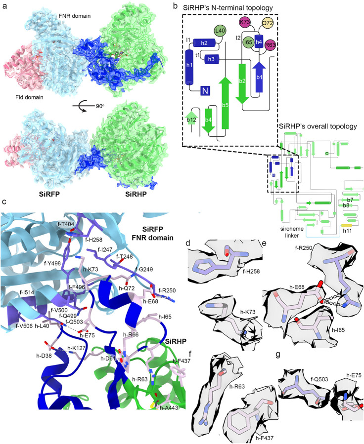 Figure 2: