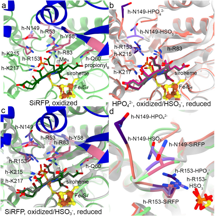 Figure 4: