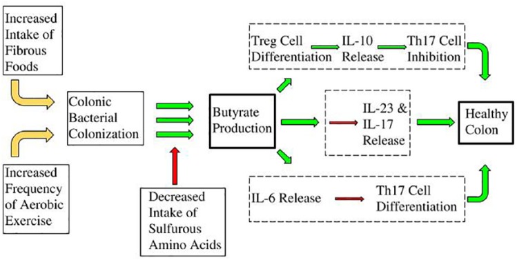 Figure 7.