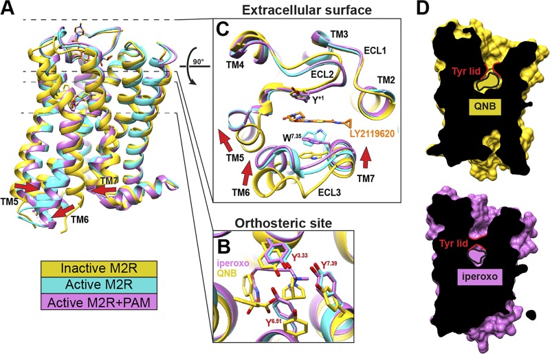 Figure 3.