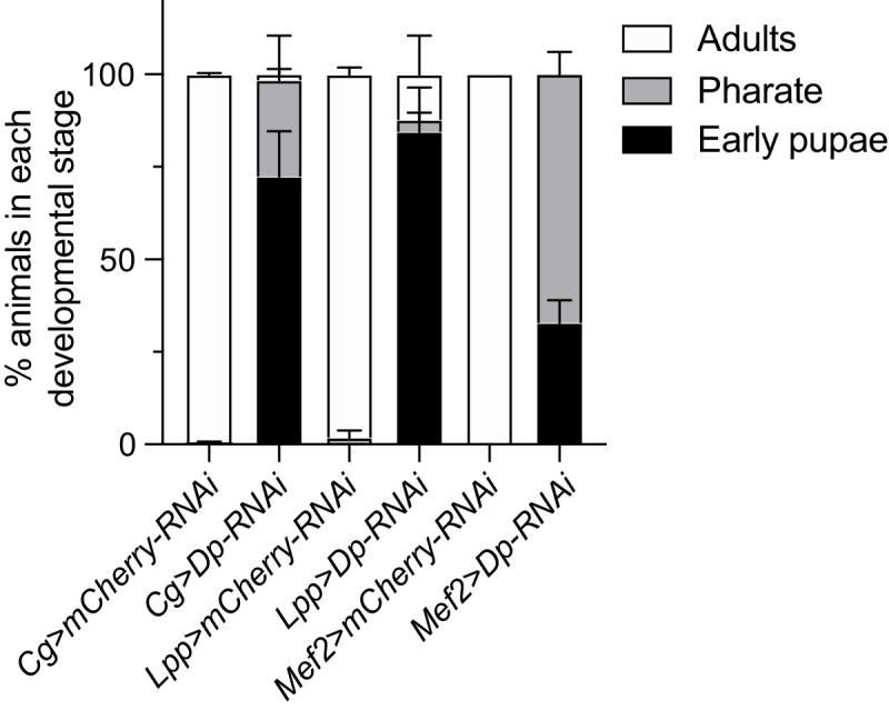 Figure 1—figure supplement 1.