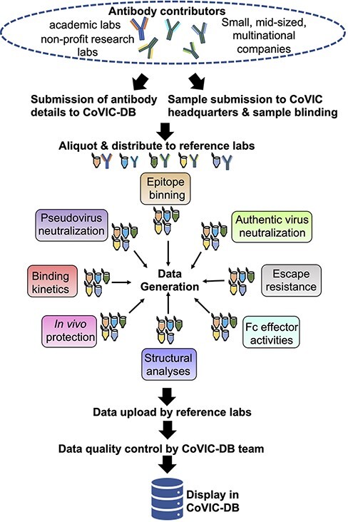 Figure 1.