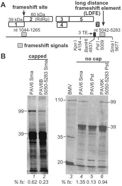 Fig 1.