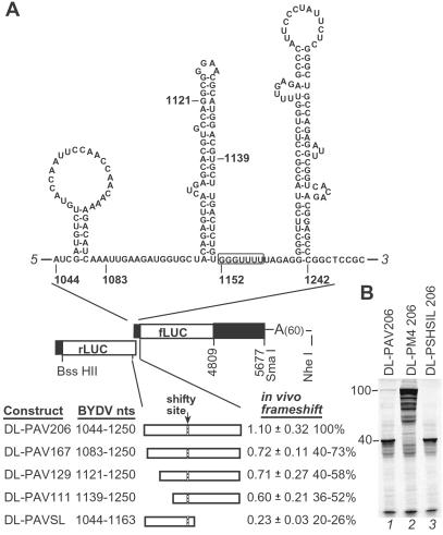 Fig 2.