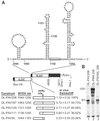 Fig 2.