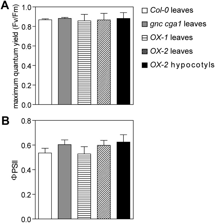 Figure 5.