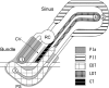 Fig. 1.