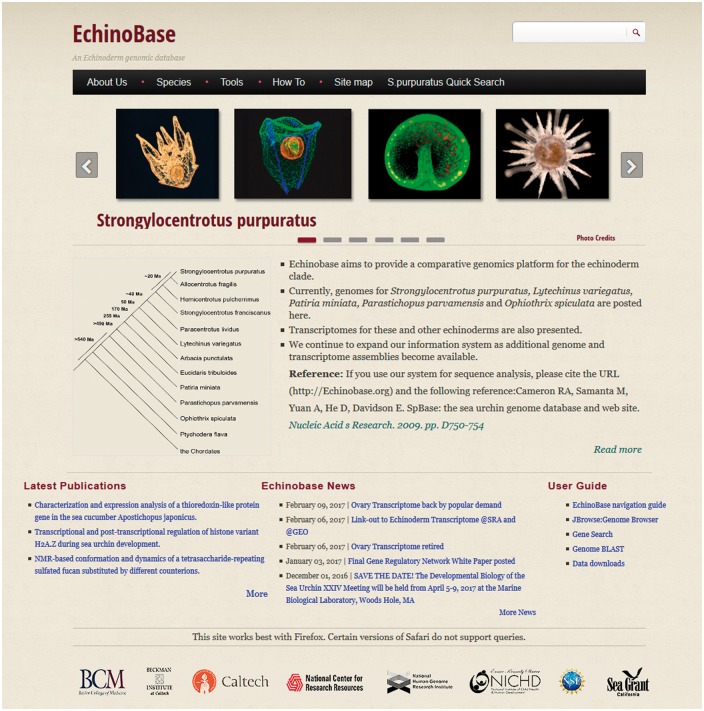 Figure 2.