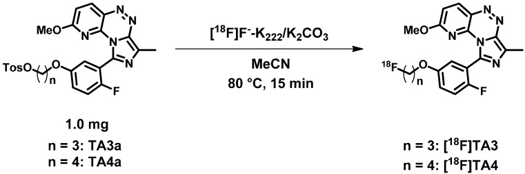 Scheme 2