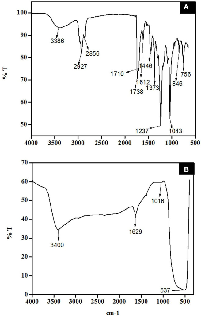 Figure 13