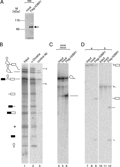 FIG. 7.