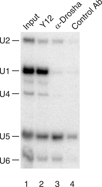 FIG. 8.