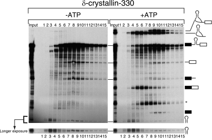 FIG. 4.