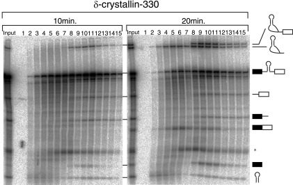 FIG. 5.