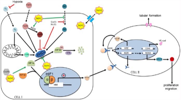 Figure 6.