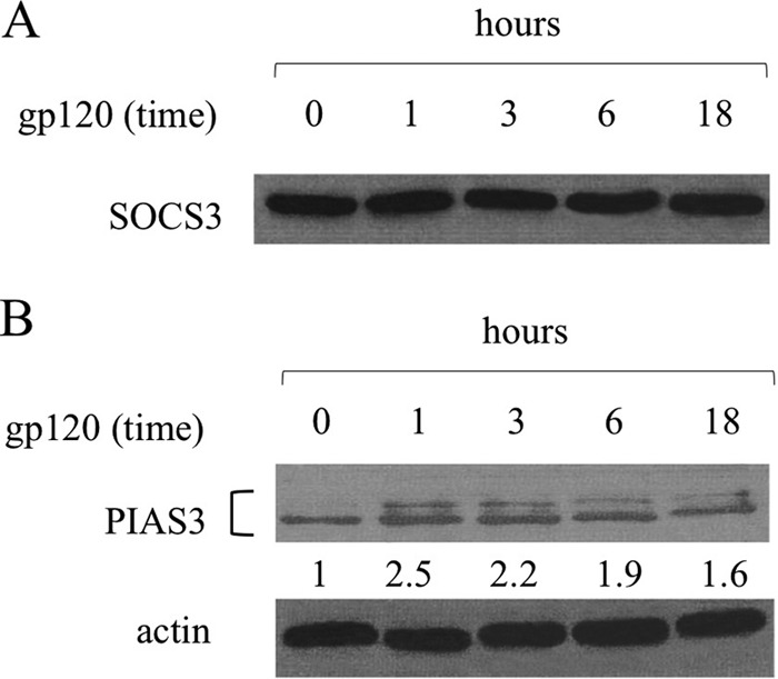 FIG 7