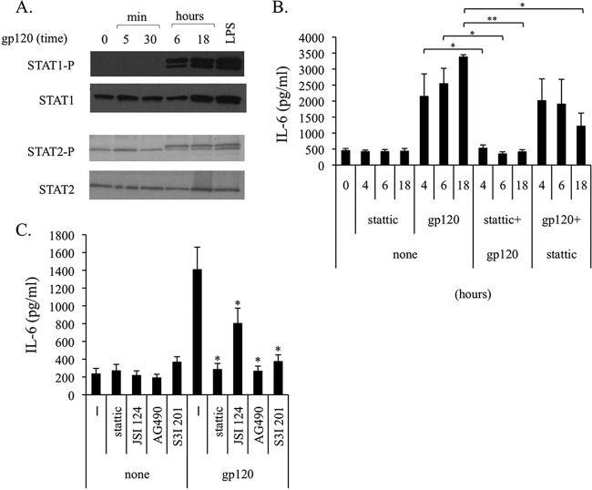 FIG 6