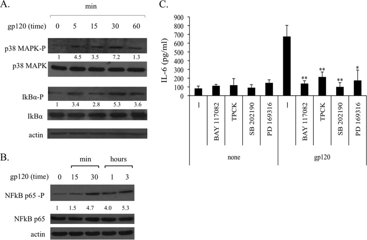 FIG 2