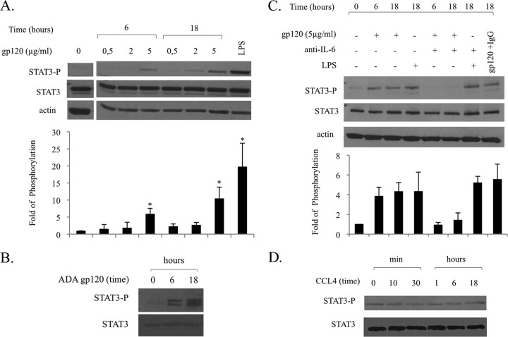 FIG 3