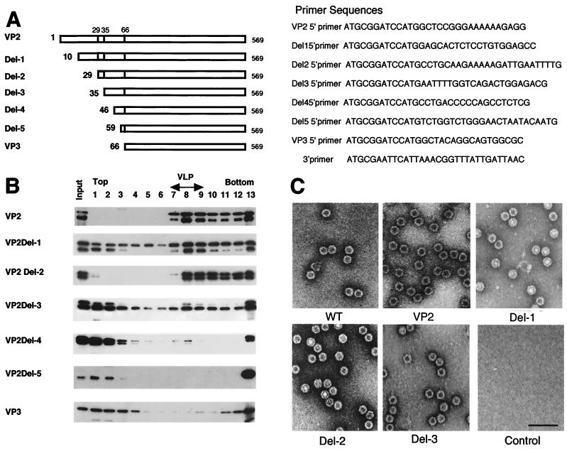 FIG. 1