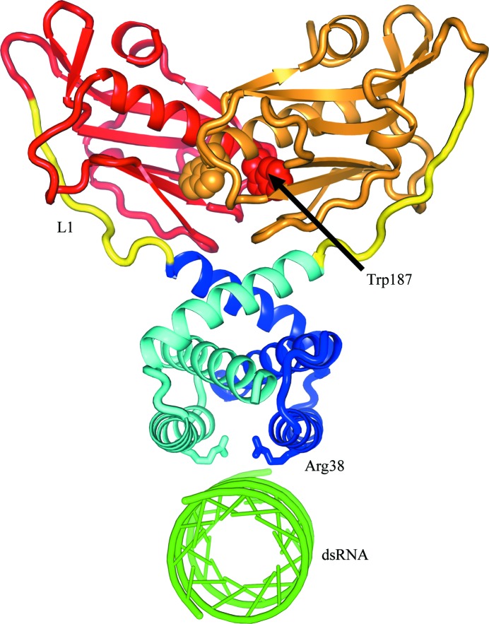 Figure 6