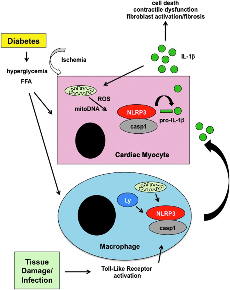 FIG. 6.