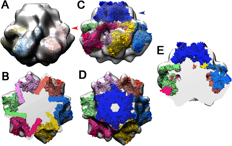 Figure 5