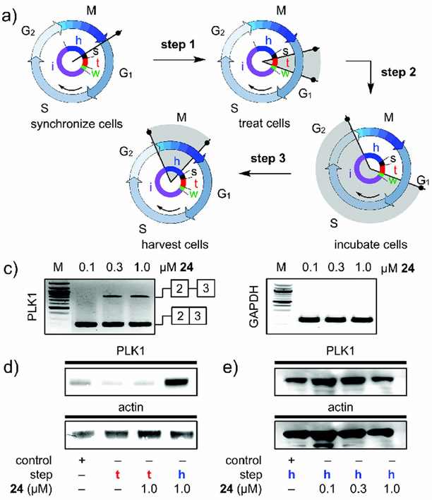 Figure 14