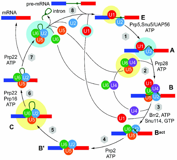 Figure 15