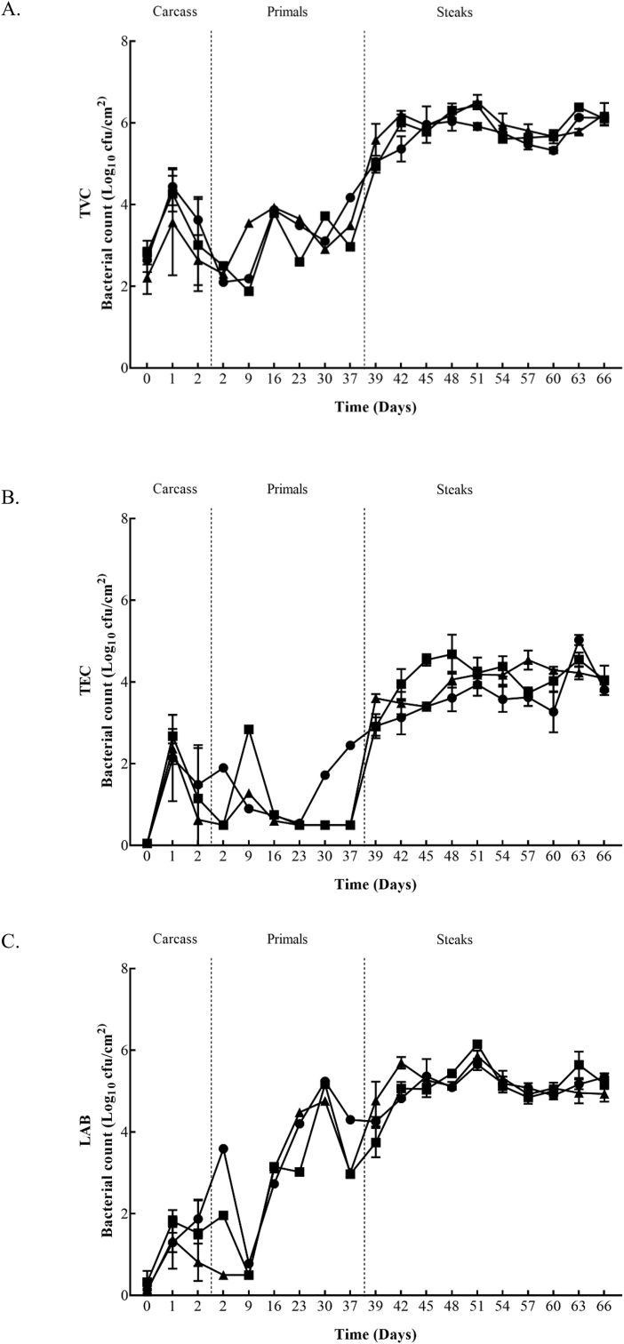 Fig. 2