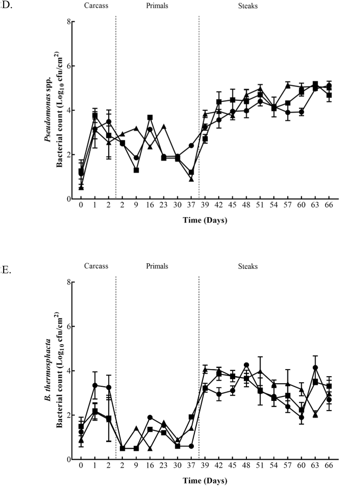 Fig. 2