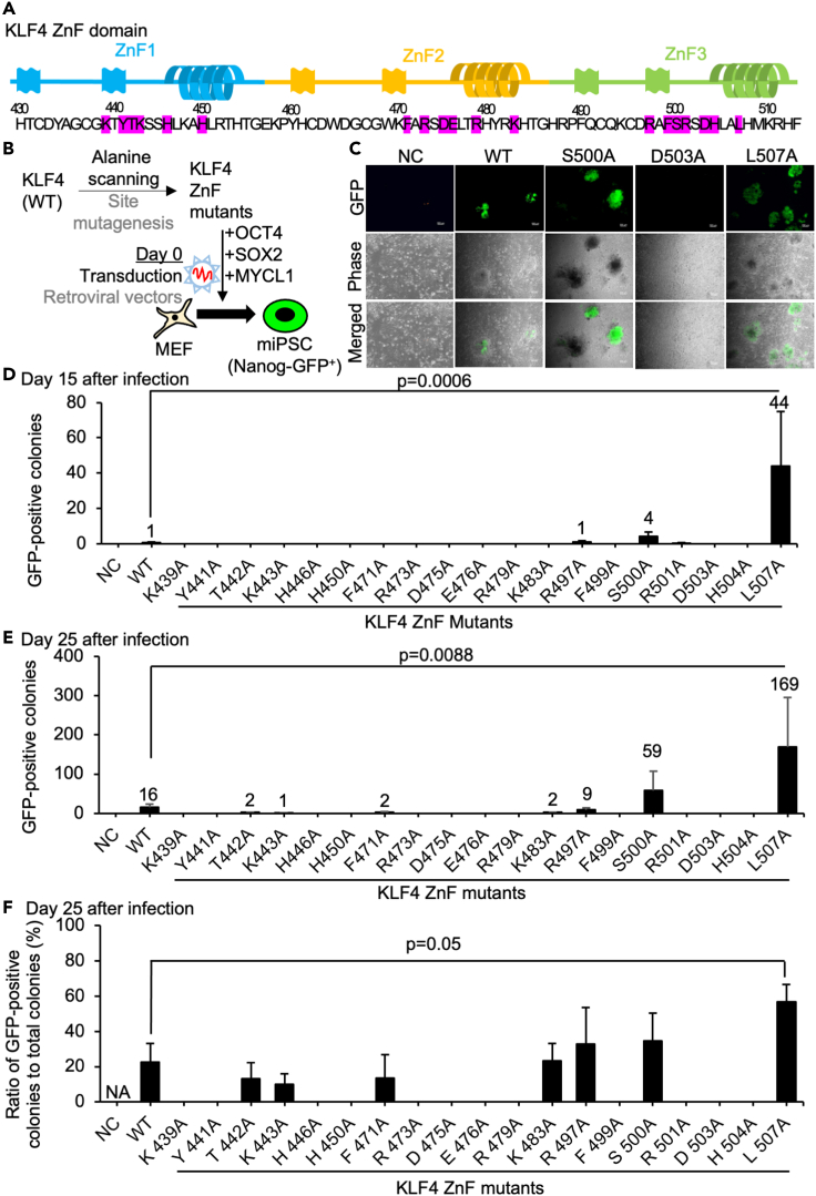 Figure 1