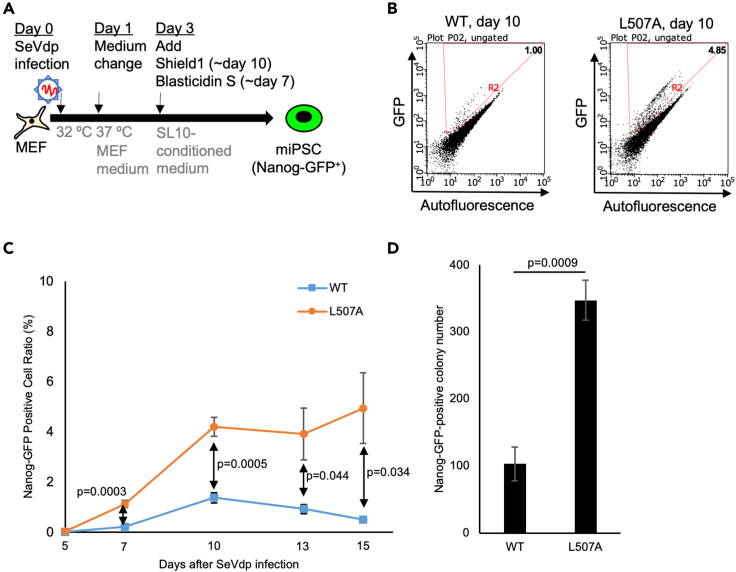 Figure 2