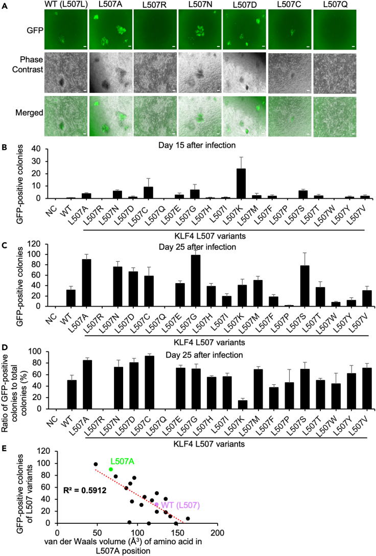 Figure 4