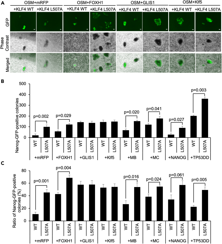 Figure 5