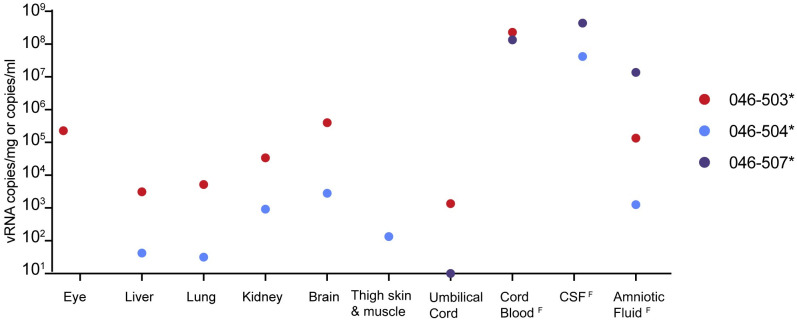 Fig 4