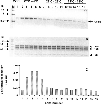 FIG. 5.