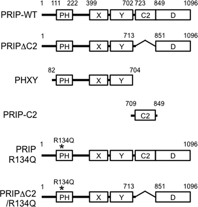 FIGURE 1.