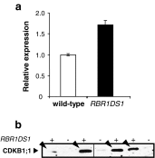 Fig. 4