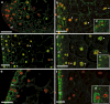 Fig. 3