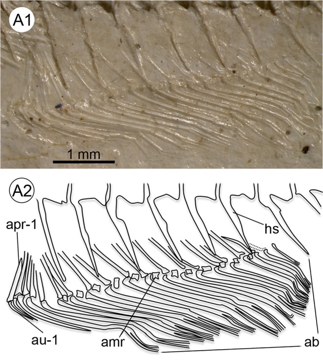 Fig 8